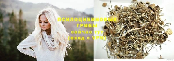 не бодяженный Аркадак
